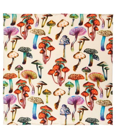 Грибы из пинтереста инди КИД