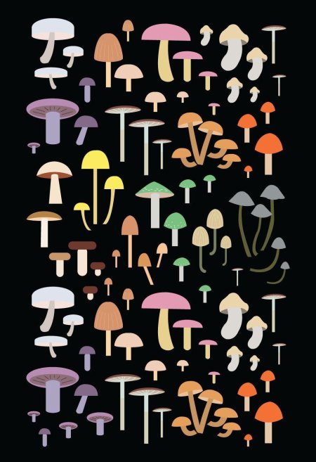 Грибы Эстетика