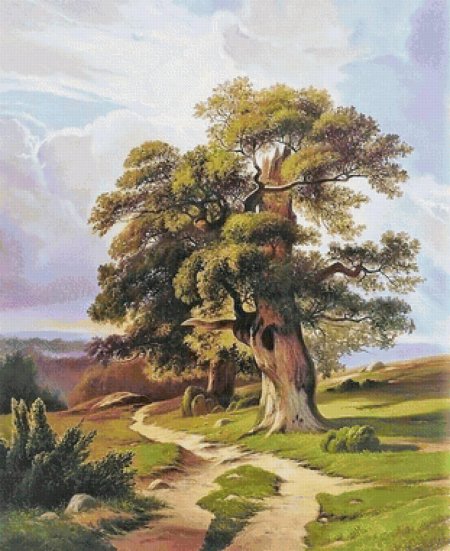 Шишкина дубы картина Шишкина