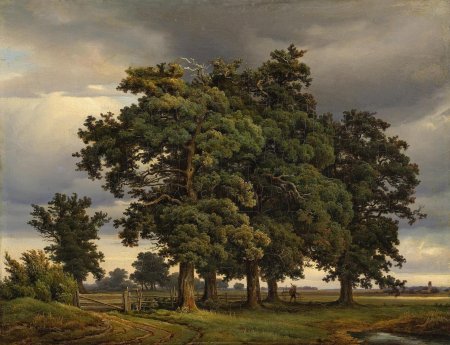 Георг Генрих крола дубы