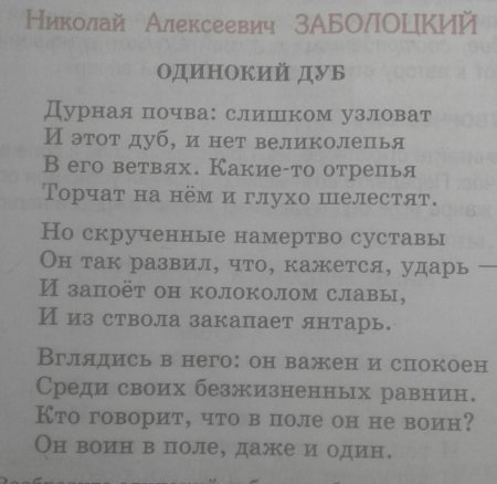 Стихи 5 класс