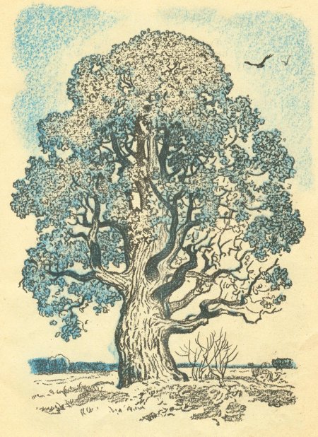 Линогравюра дуб