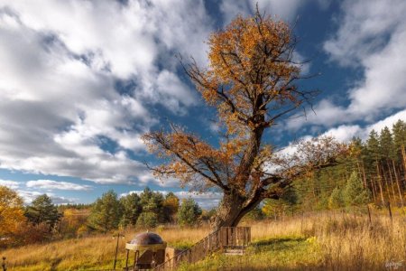 Илья Гарбузов фотограф