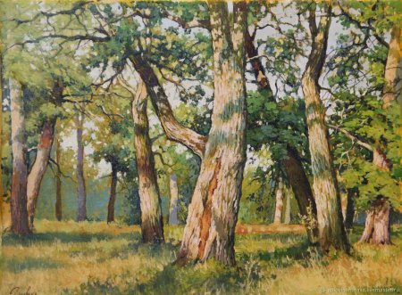 Мордвиновские дубы Шишкин