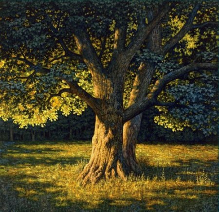 Давид Йерман