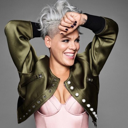 Пинк американская певица 2023