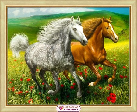 Алмазная мозаика лошадь