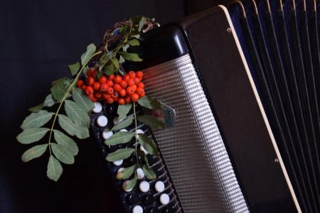 Красивый баян