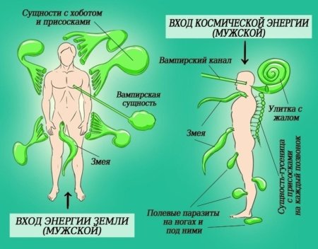 Энергетические паразиты