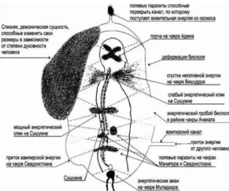 Сущности в биополе человека
