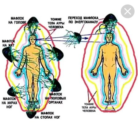 Аура человека мафлок