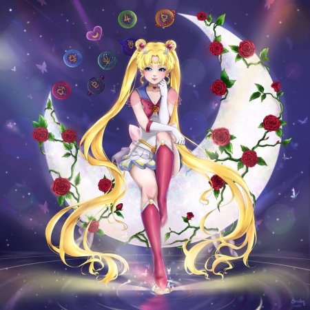 Аниме сейлормун