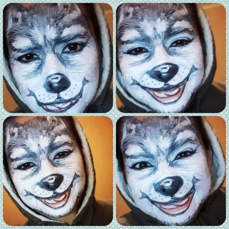 Аквагрим хаски