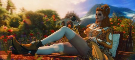 Анна Генриетта Ведьмак 3