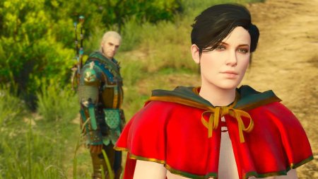 Сиана Ведьмак 3