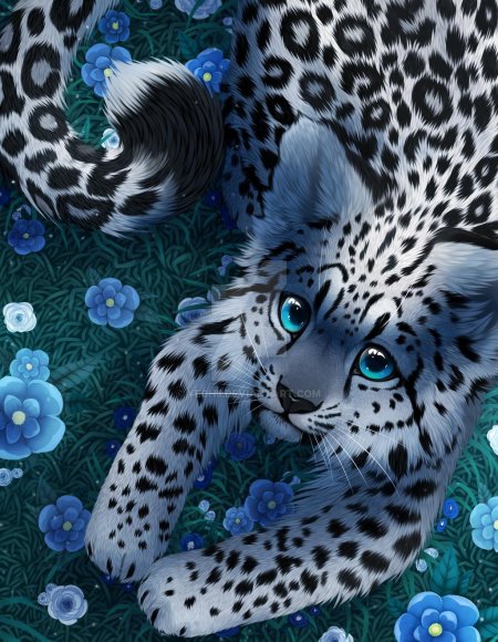 Гепард и снежный Барс