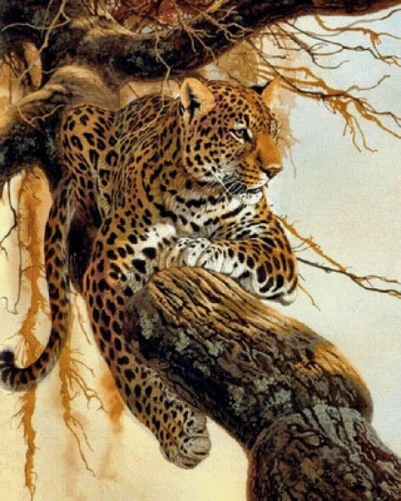 Художник al Agnew животные