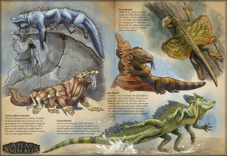 Василиск DND