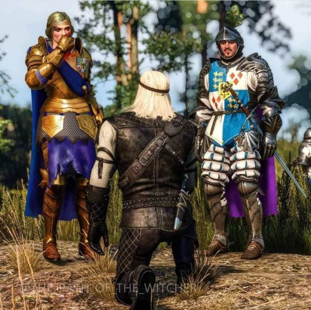 Мева Ведьмак