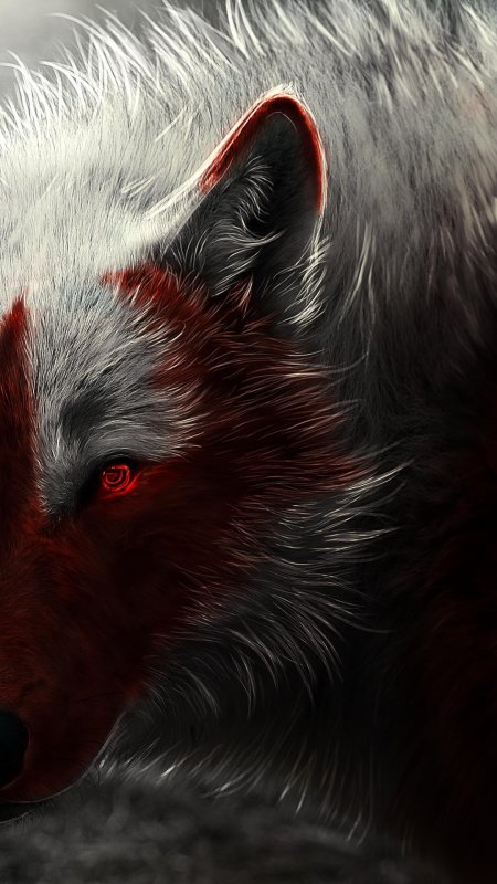 Волк с красными глазами