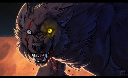 Волчий оборотень аниме