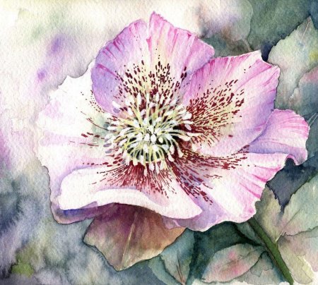 Художник Yvonne Harry акварель