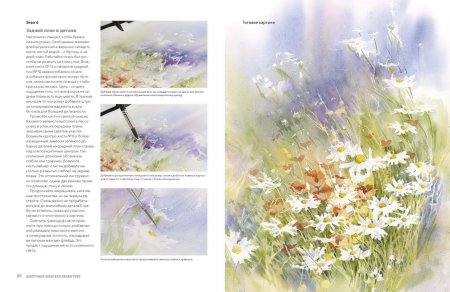 Книга цветочные акварели Венди Тейт