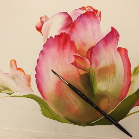 Тюльпаны акварель Диана Митчелл