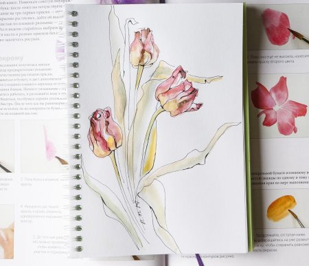 Клэр Уэйт Браун "акварель. Цветы. Энциклопедия"