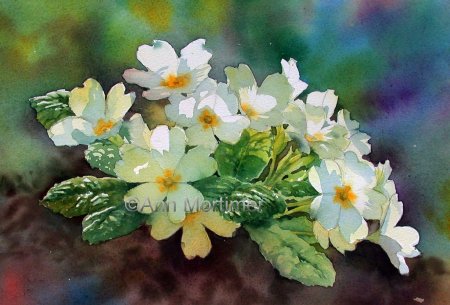 Энн Мортимер цветы в акварели