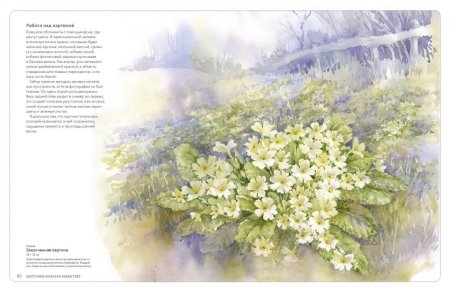 Книга цветочные акварели Венди Тейт