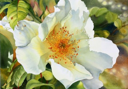 Художник Marney Ward