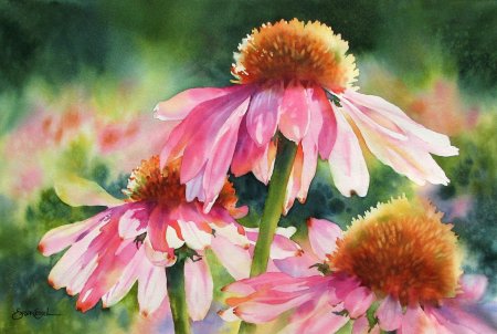 Акварели Susan Crouch