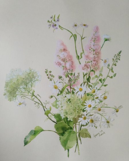 Полевые цветы в акварели Уэнди Тейт