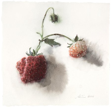 Венди Артин