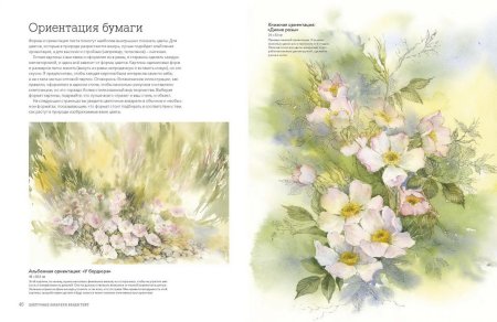 Книга цветочные акварели Венди Тейт