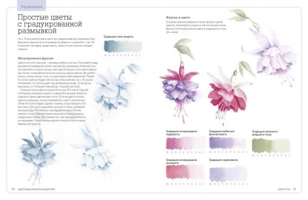 Книга цветочные акварели Венди Тейт