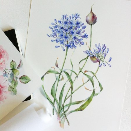 Скетчинг акварелью ботаника