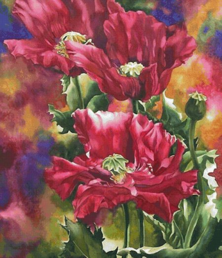 Маки Тимошин