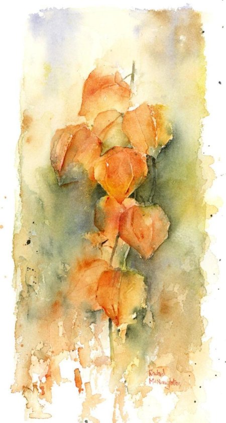 Акварели Рэйчел МАКНОТОН