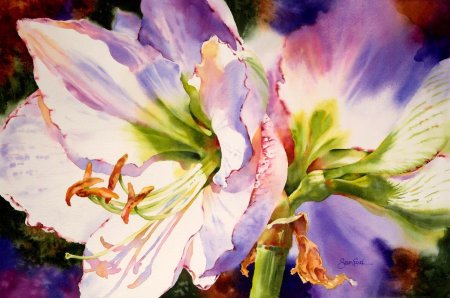 Акварели Susan Crouch