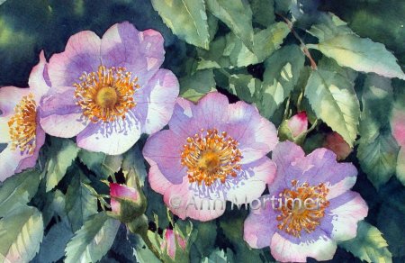 Художник Ann Mortimer