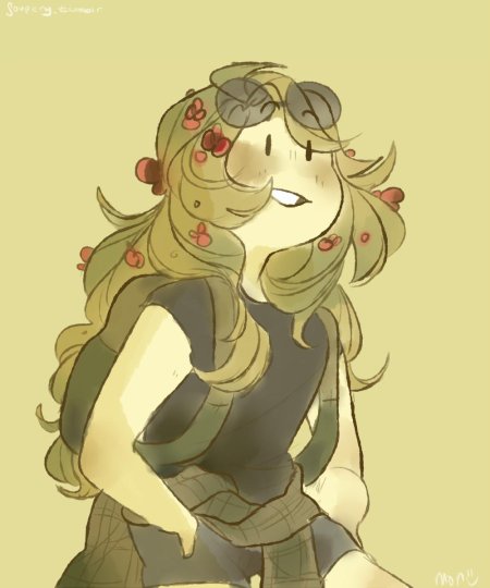 Финн и Ферн шип