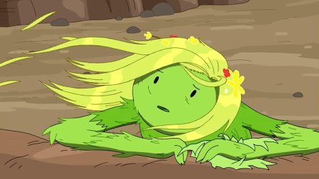 Ферн время приключений