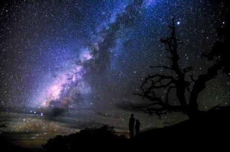 Звездное небо