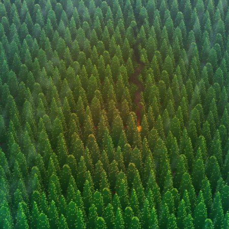 Лес вид сверху