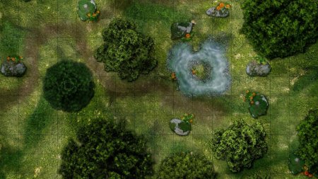 ДНД карта лес