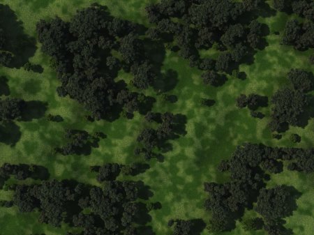Лес Battlemap
