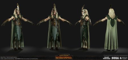 Лесные эльфы вархаммер 2