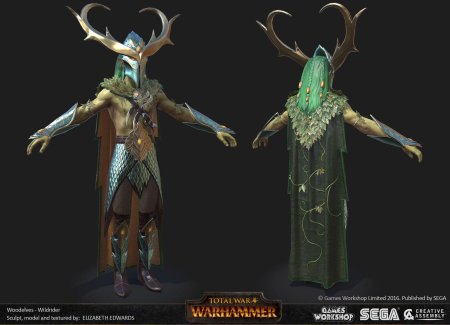 Лесные эльфу тотал вар